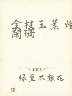 金枝玉叶 灯火阑珊