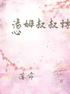 汤姆叔叔转入中心