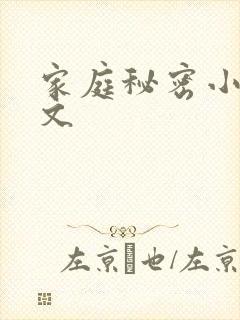 家庭秘密小说全文