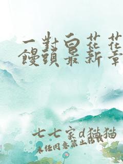 一对白花花的大馒头最新章节