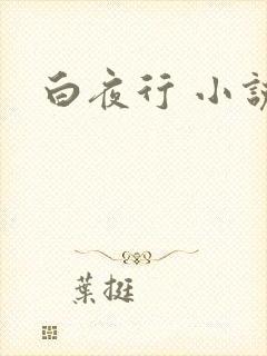 白夜行 小说
