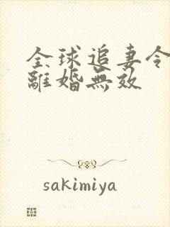 全球追妻令老婆离婚无效