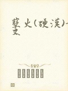 孽火(硬汉)今又