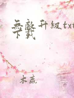 无敌升级txt下载