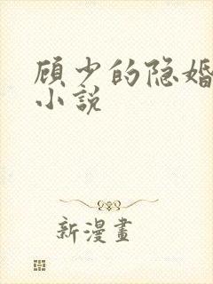 顾少的隐婚罪妻小说
