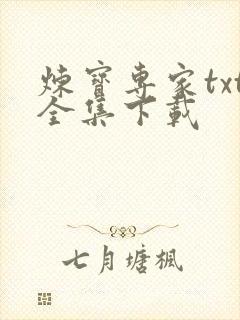 炼宝专家txt全集下载