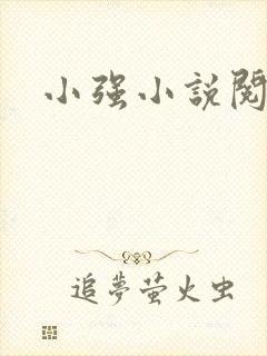 小强小说阅读网