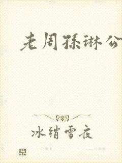 老周孙琳公交车