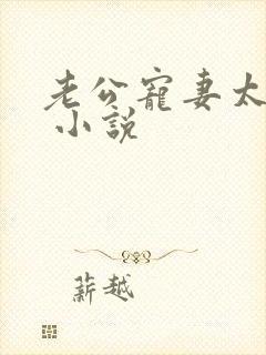 老公宠妻太甜蜜 小说