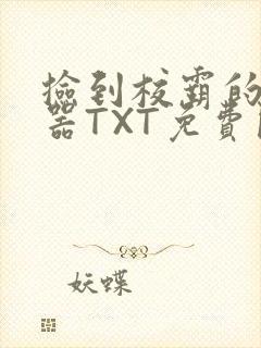 捡到校霸的遥控器TXT免费阅读