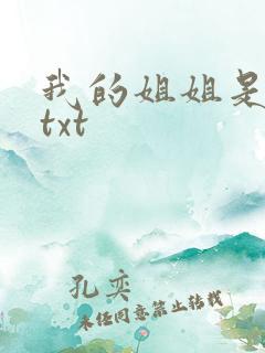 我的姐姐是美女txt