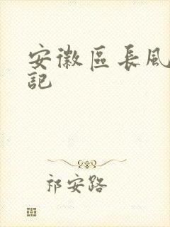 安徽区长风流日记