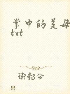 掌中的美母版主txt