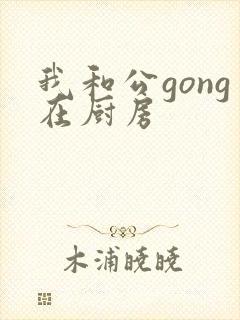 我和公gong在厨房
