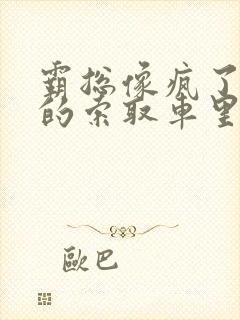 霸总像疯了一样的索取车里