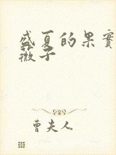 盛夏的果实 小薇子