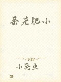 岳老肥小