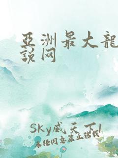 亚洲最大龙腾小说网