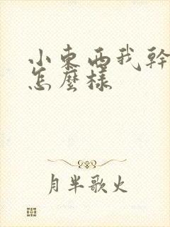 小东西我干的你怎么样