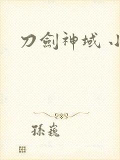 刀剑神域 小说