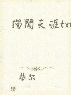 独闯天涯txt