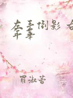左手倒影 右手年华