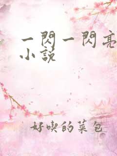 一闪一闪亮星星小说