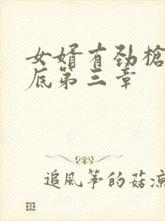 女婿有劲枪枪到底第三章