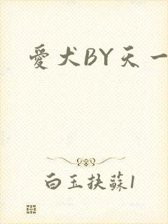 爱犬BY天一