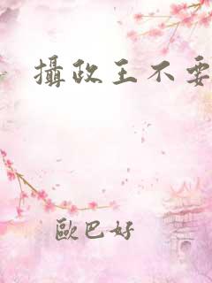 摄政王不要