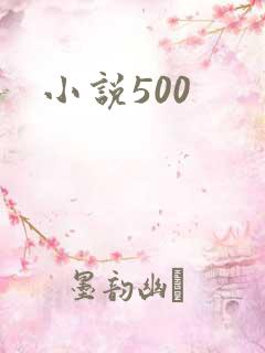 小说500