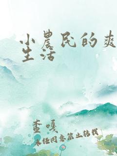 小农民的爽歪歪生活