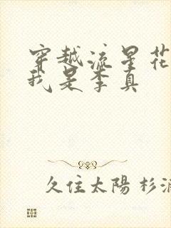 穿越流星花园之我是李真