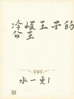 冷峻王子的完美公主