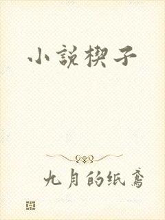 小说楔子