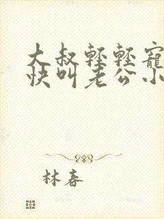 大叔轻轻宠宝贝快叫老公小说