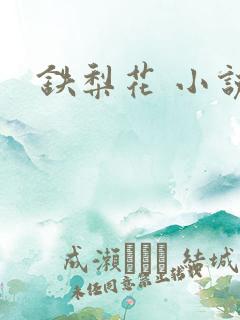 铁梨花 小说