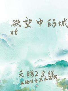 欲望中的城市txt