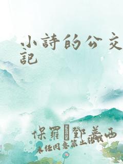 小诗的公交车日记