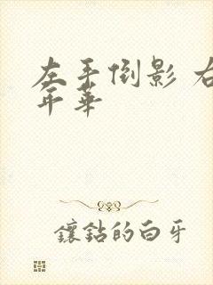 左手倒影 右手年华