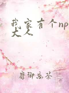 我家有个npc大人