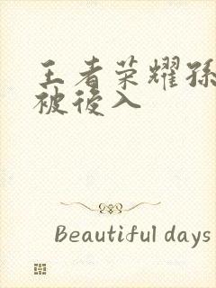 王者荣耀孙尚香被后入