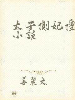 太子侧妃傻乎乎小说