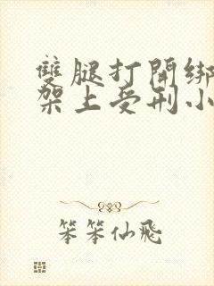 双腿打开绑在刑架上受刑小说