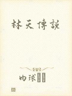 林天传说