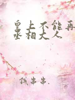 皇上不能再进了丞相大人