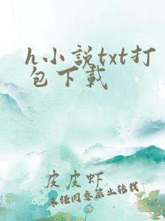 h小说txt打包下载