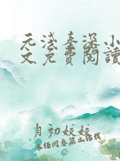 元浅秦深小说全文免费阅读