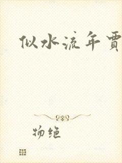 似水流年贾二虎