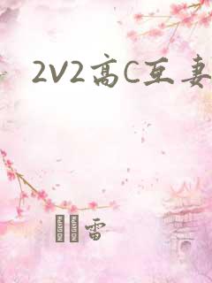 2V2高C互妻